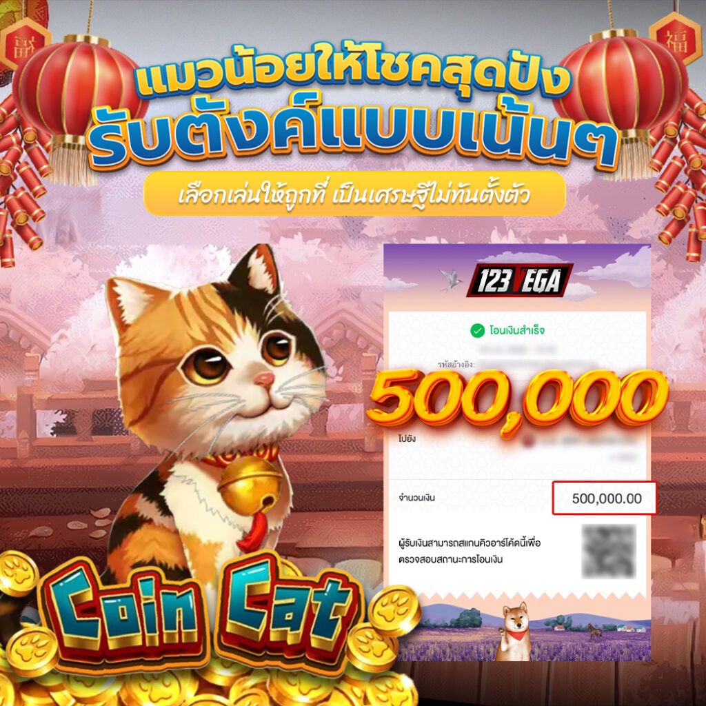 coin cat